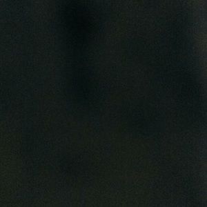 Meet your Posher, Raymond